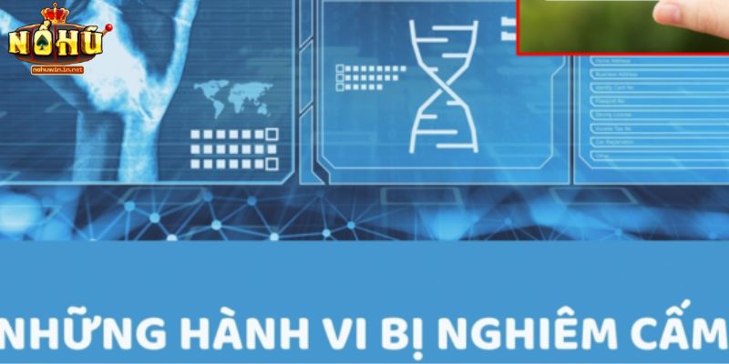 Các hành vi bị cấm trong điều khoản điều kiện NOHUWIN